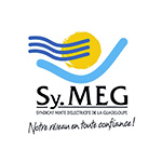 SyMEG