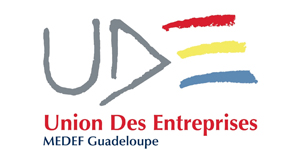 UDE MEDEF