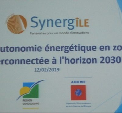 Synthèse autonomie énergétique Guadeloupe 2030