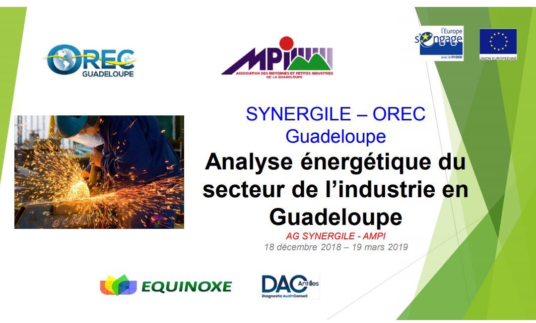 Analyse énergétique du secteur de l’industrie en Guadeloupe 2019