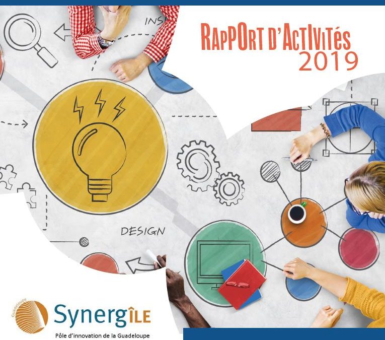 Rapport d’activité Synergîle bilan 2019