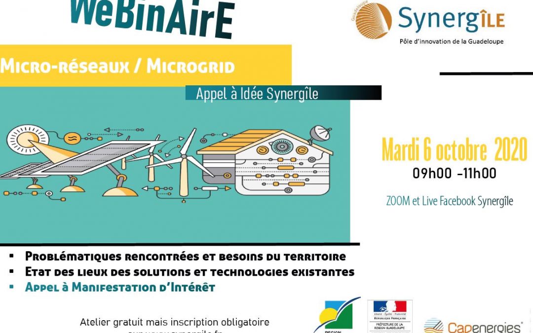 Webinaire micro-réseaux/Microgrids