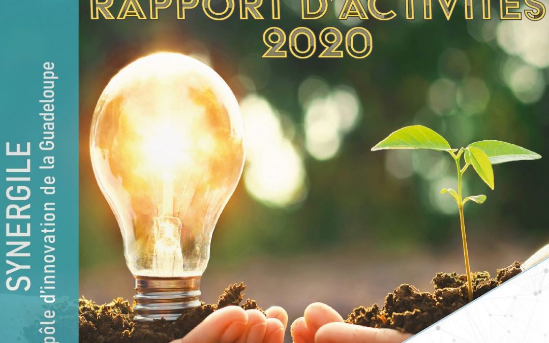 Rapport d’activités bilan 2020