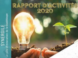 Rapport d’activités bilan 2020