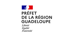 Prefet