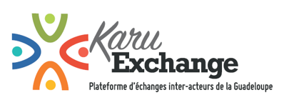 Initiation et prise en main de la plateforme KARU EXCHANGE