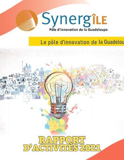 RAPPORT D’ACTIVITES 2021