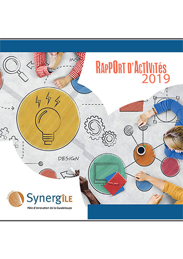 Rapport d’activité Synergîle bilan 2019