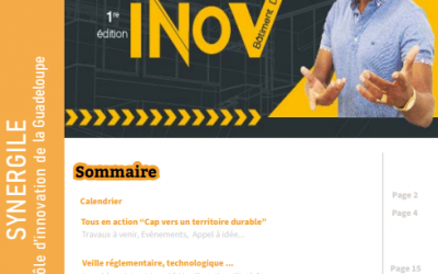 Newsletter novembre 2021