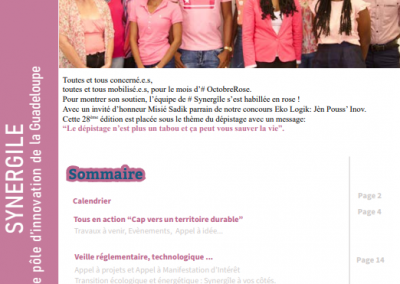 Newsletter octobre rose 2021