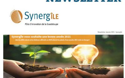 Newsletter Février 2021