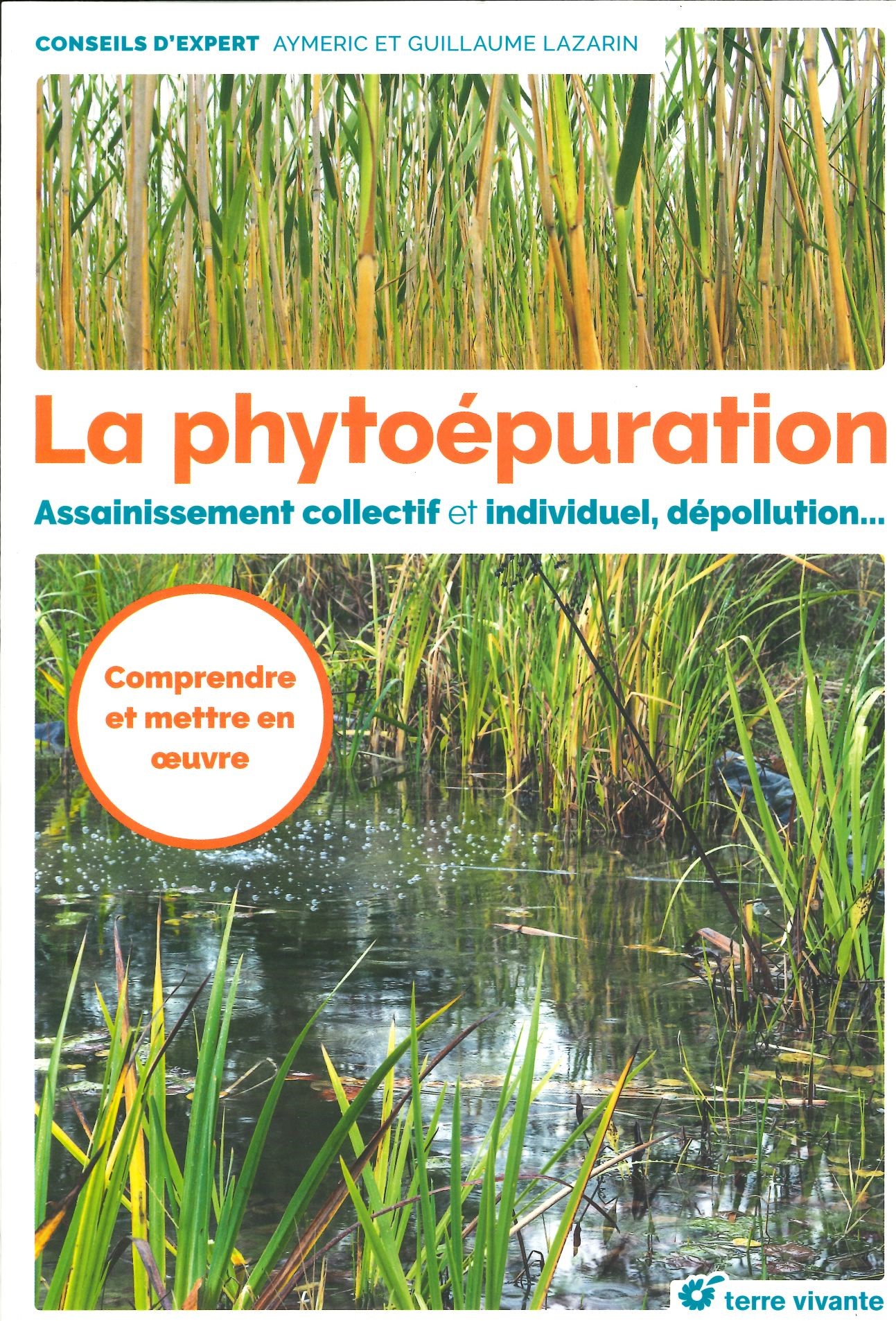 La phytoépuration