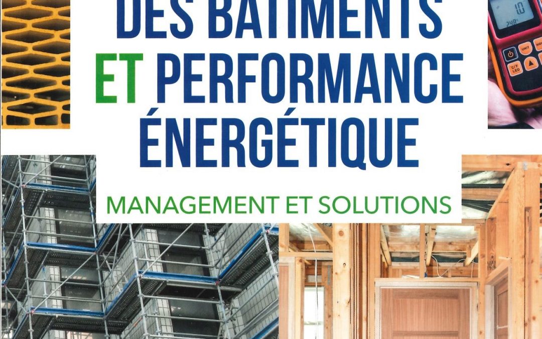 Rénovation des bâtiments et performance énergétique – Management et solutions: Management et solutions