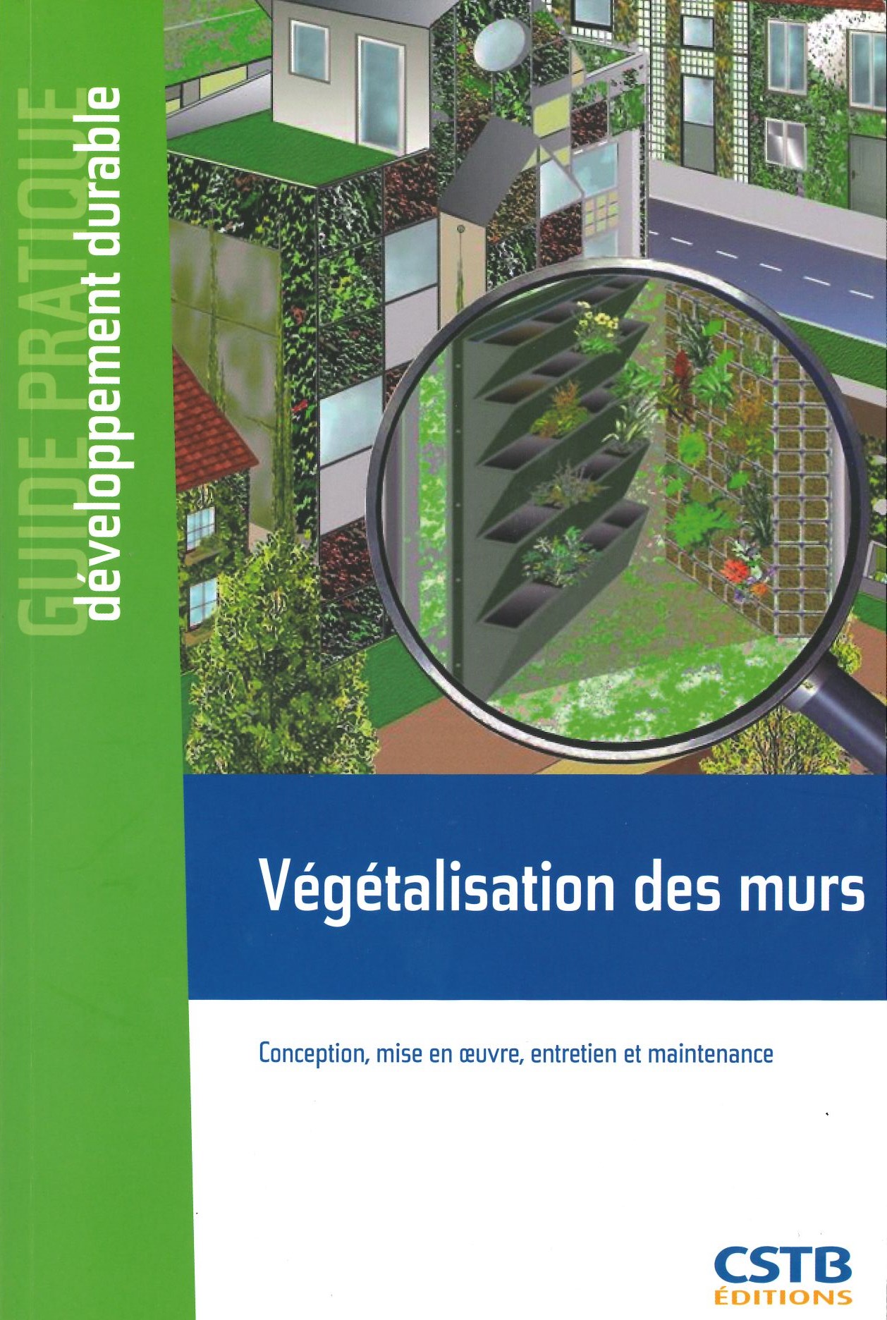 végétalisation des murs