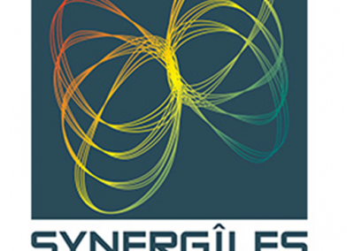<strong><em>De nouveaux services et partenaires chez Synergîles</em></strong><strong><em></em></strong>