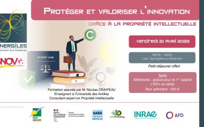 Protéger et valoriser l’innovation grâce à la propriété intellectuelle