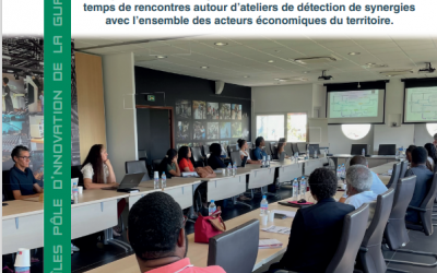 Atelier de détection de synergies