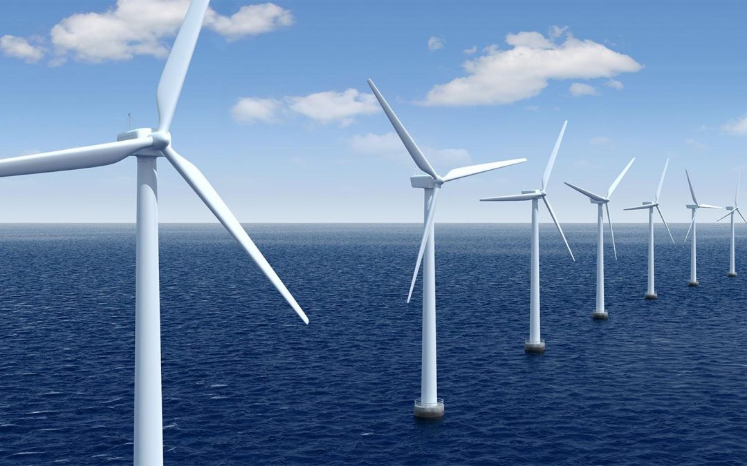 AAP – Mieux connaitre les interactions entre les éoliennes en mer et le milieu marin