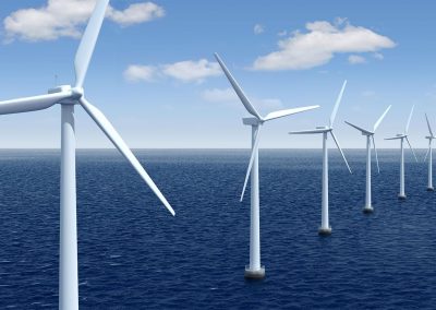 AAP – Mieux connaitre les interactions entre les éoliennes en mer et le milieu marin