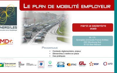 Formation Le plan de mobilité employeur