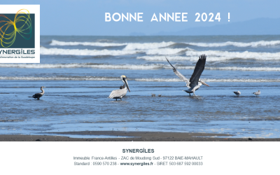 « La gouvernance ainsi que l’équipe de Synergîles vous adressent leurs meilleurs vœux pour l’année 2024 ! »