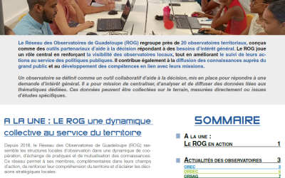 Newsletter des observatoires de Guadeloupe n°2