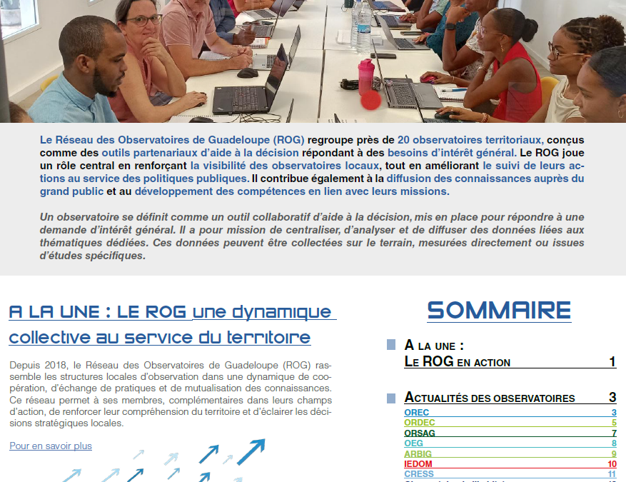 Newsletter des observatoires de Guadeloupe n°2