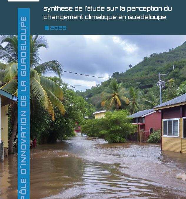 Synthese étude perception du changement climatique