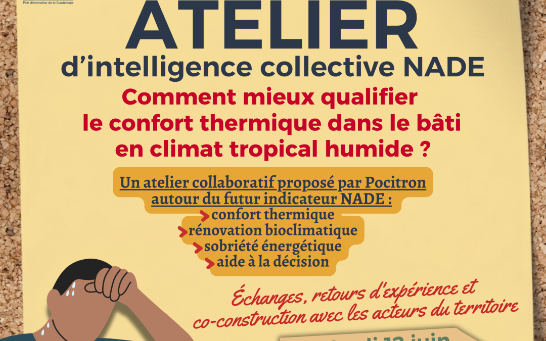 Organisation atelier NADE – Pocitron + RBD